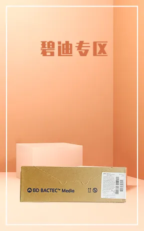 碧迪专区
