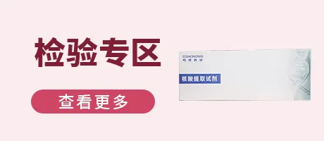 检验