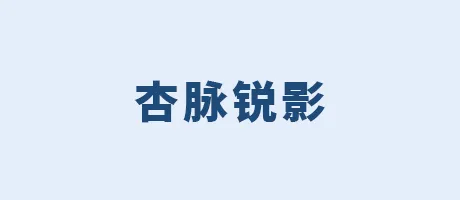 杏脉锐影