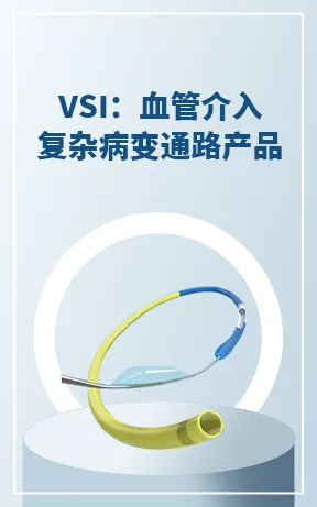 VSI：血管介入复杂病变通路产品