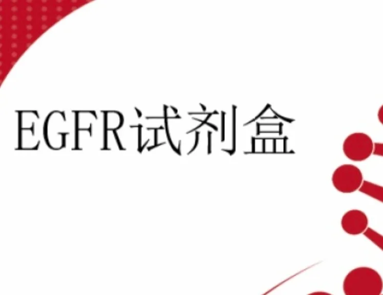 EGFR基因突变检测试剂盒(PCR-荧光探针法) 6人份/盒
