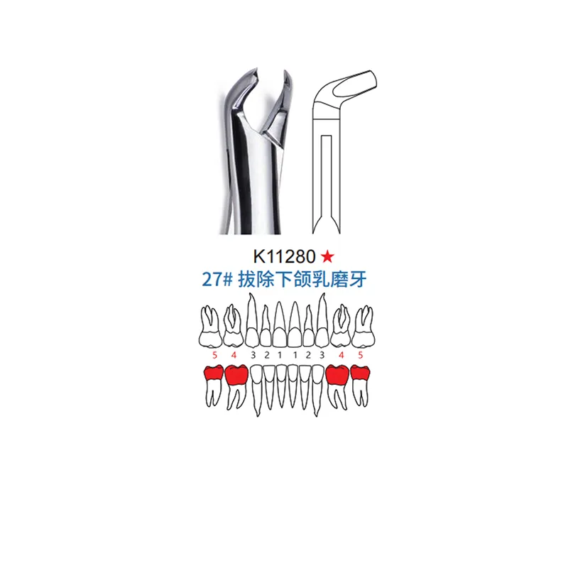 拔牙钳 儿童型 27#