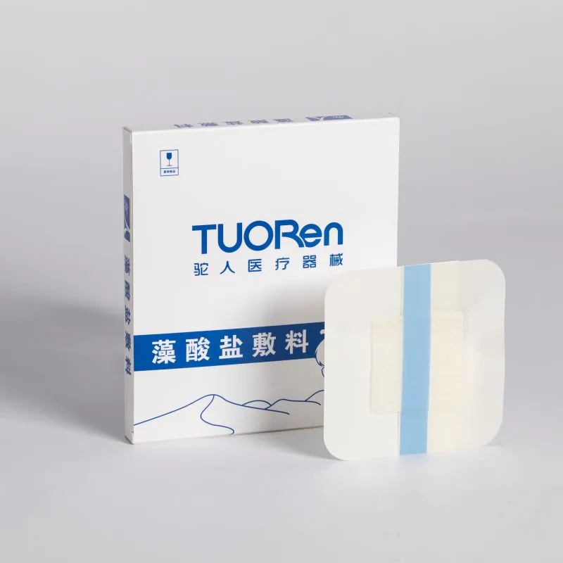 藻酸盐敷料 Ⅰ型 10cm×10cm