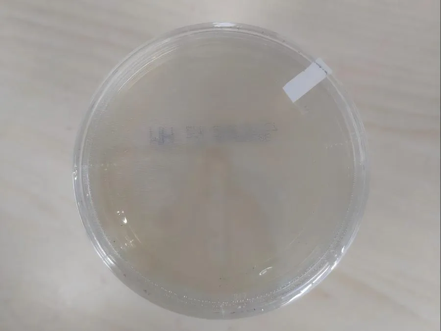 安图生物 MH琼脂平板 90mm 10块/包