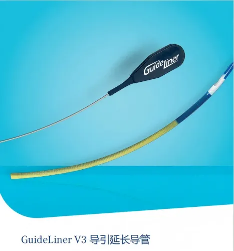  导引延长导管 5569