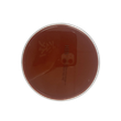 微生物试剂
