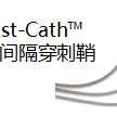 血管鞘组